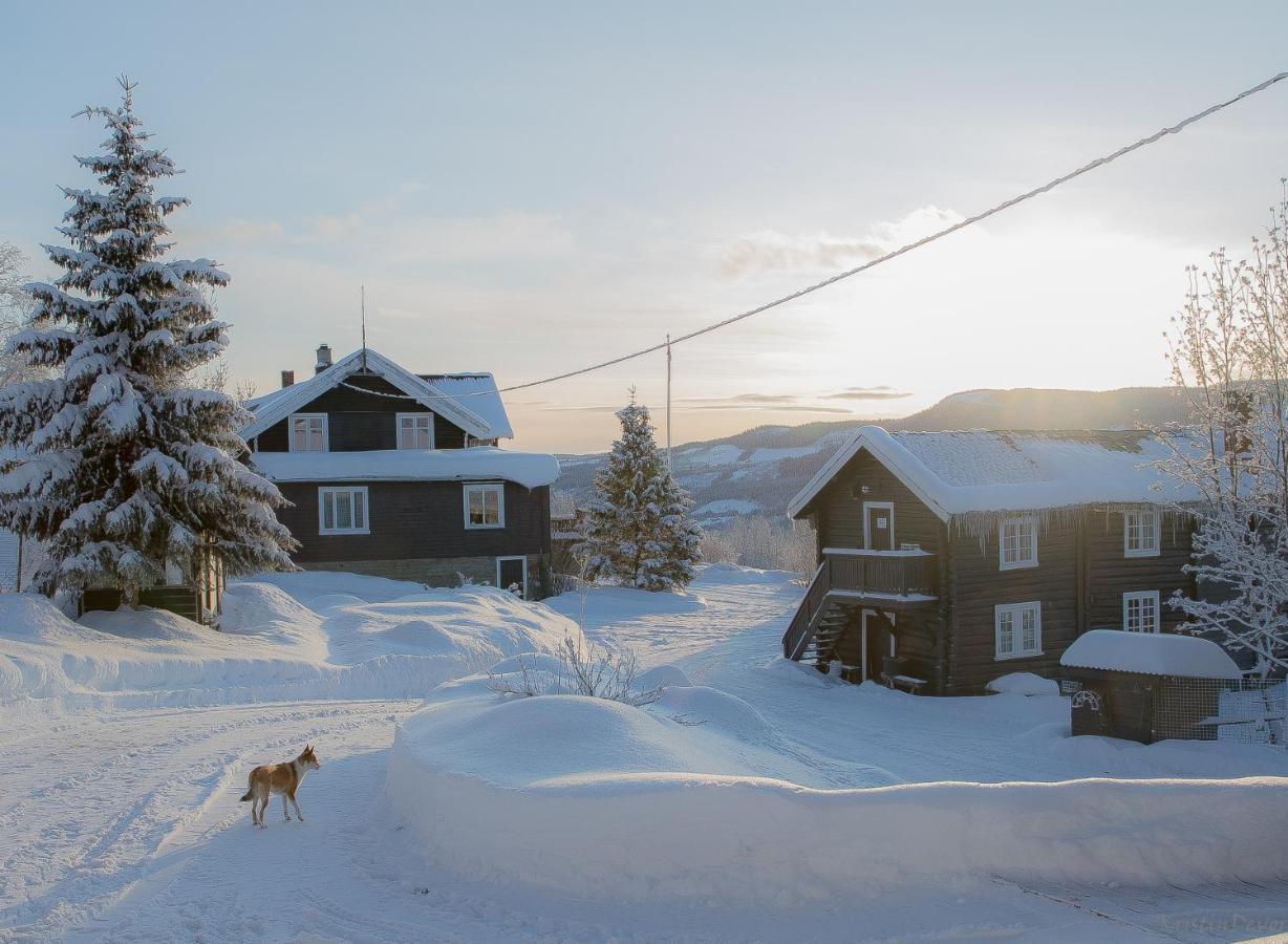 Hotel Eikre Fjellgard Hemsedal Exteriér fotografie