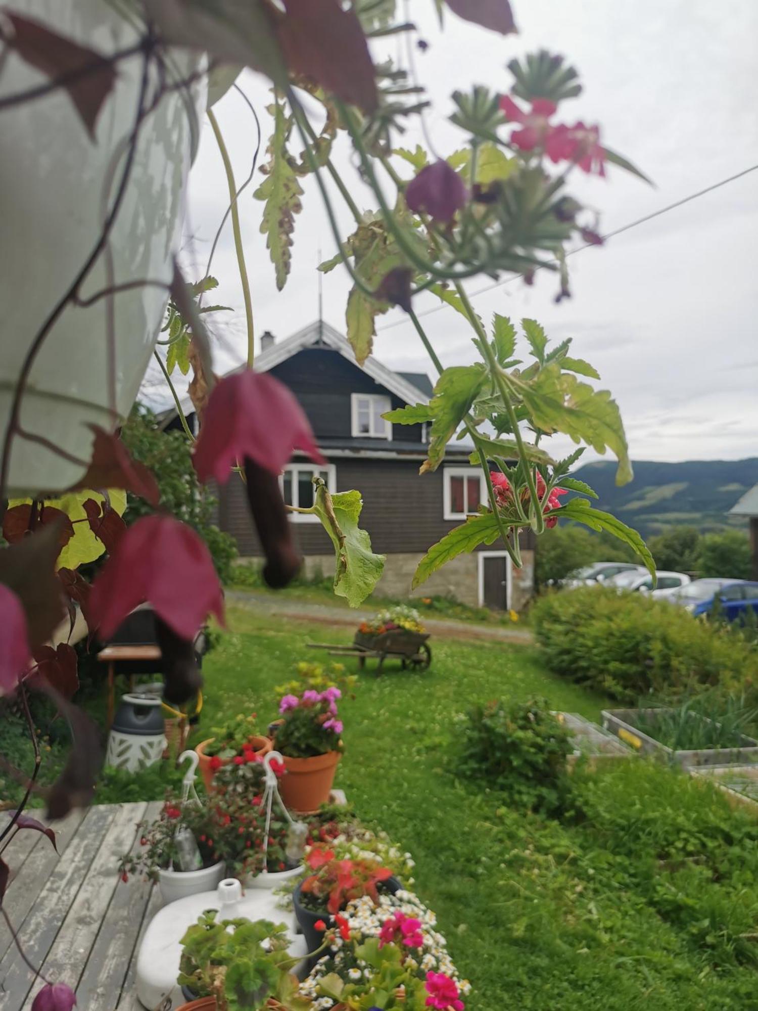 Hotel Eikre Fjellgard Hemsedal Exteriér fotografie